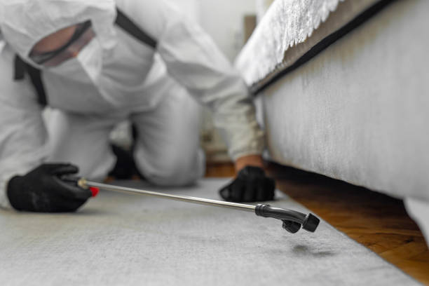 Professional Bed Bug Control technician working in Monroe North, WA