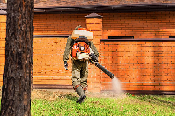 Trusted Ant Control service in Monroe North, WA - Nex Pest Control